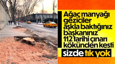 İ­B­B­,­ ­B­e­ş­i­k­t­a­ş­­t­a­ ­1­1­2­ ­ç­ı­n­a­r­ ­a­ğ­a­c­ı­n­ı­ ­k­e­s­t­i­